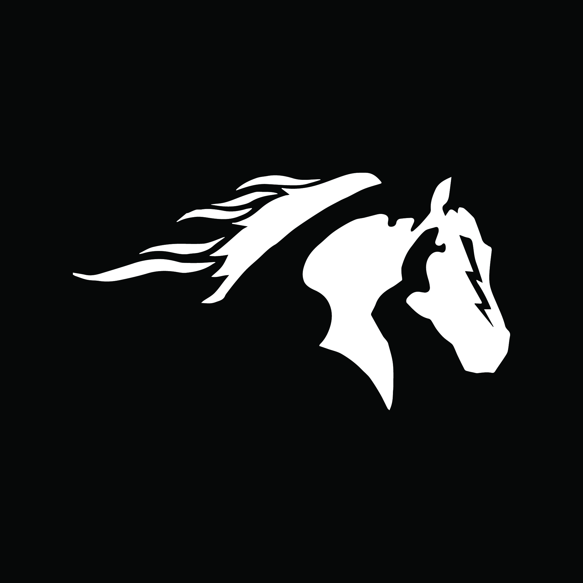 Outlaw Horse